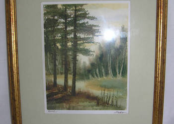 obraz akwarela w złotych ramach_MD