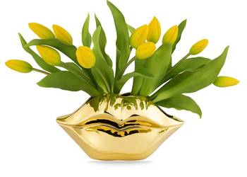 Złoty wazon osłonka usta