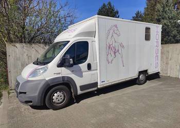 Fiat Ducato Koniowóz Maxi 160KM