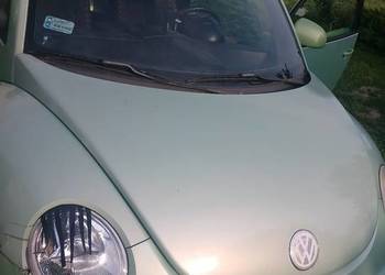 VW Beetle