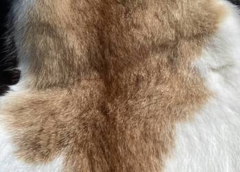 Pas ocieplający z naturalnej skóry i włosia.