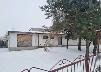 Lokal użytkowy wynajem