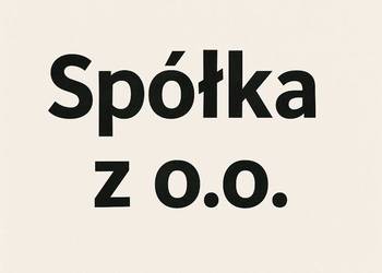 Sprzedam spółkę zoo ponad 9mln obrotu netto, dobra historia w US
