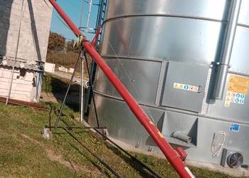 Przenośnik ślimakowy, żmijka POM Augustów