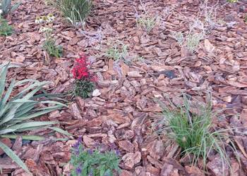 Kora sosnowa Ziemia ogrodowa uniwersalna Torf Kompost