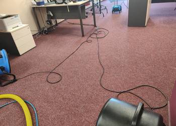 Pranie dywanów wykładzin biurowych hotelowych przemysłowych  Biała Rawska