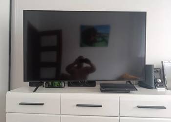 syndyk sprzeda TV SAMSUNG 55''