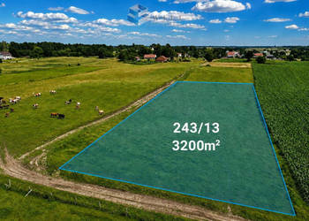 Działka 3200m2 Jurki