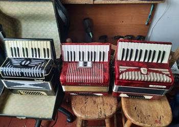 Akordeony cyklop hohner firotti