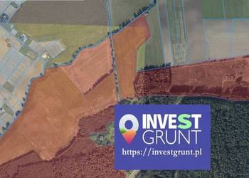 [24,03 ha] przetarg na dzierżawę gruntów rolnych