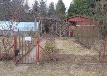 Działka z domkiem drewnianym, Ogrody Działkowe OAZA