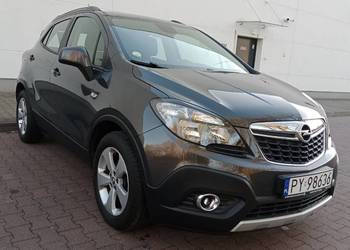 Pełen Carpass* Zarejestrowany