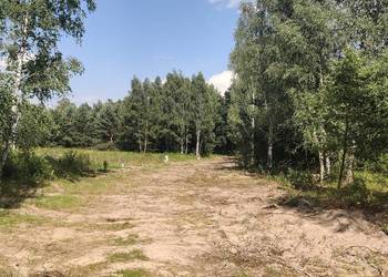 Urokliwa działka budowlana 800 m² w otulinie lasu – Drwalew, gm. Chynów