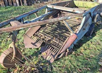 Kopaczka elewatorowa do ziemniaków