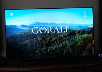 Telewizor LG OLED 65 C8 PLA