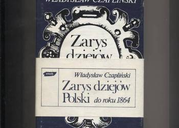 Zarys dziejów Polski do roku 1864