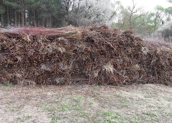Wiklinę wykoszoną 0,45ha