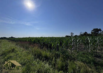 Działka 525m2 Olza