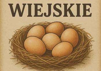 Sprzedam wiejskie jajka i ser