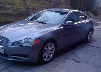 Ładny jaguar XF