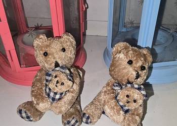 Misie Saga rodzice
