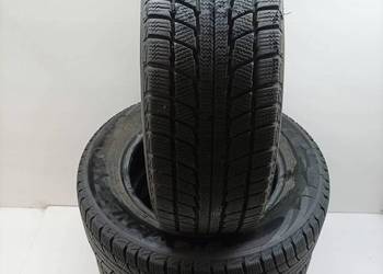 4x OPONA ZIMOWA DIAMONDBACK SNOW LION 195/65R15 (1823)8.6 8.5 (1923)8.1 7.9