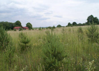 Działka 64 190 m² , Piaseczno
