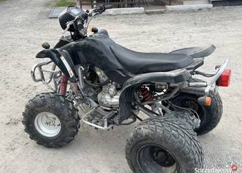 Bashan 200