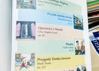 Nasze lektury szkolne 4 wypisy Siedmioróg antykwariat