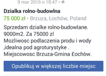 Działka rolno-budowlana 9000m2 . Jedna 4000m2 druga 5000m2