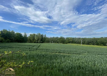 Ziemia 6835m2 Cieszyn