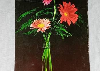 Pocztówka: kwiaty w wazonie. KAW, 1973 r.
