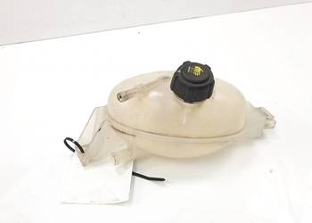 ZBIORNICZEK PŁYNU RENAULT MASTER III L3H1 217100015R ZBIORNICZEK PŁYNU RENAULT MASTER III L3H1 217100015R