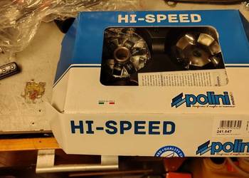 Wariator polini speed control y6 4T 139qmb/qma