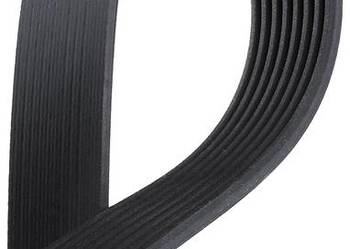 Pasek wielorowkowy Iveco Case New Holland 4898547