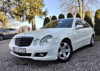 7g tronik , zimow wojownik