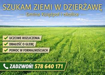 Przyjmę ziemię w dzierżawę gmina Księżpol