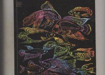 Domowe akwarium słodkowodne Domowe akwarium słodkowodne