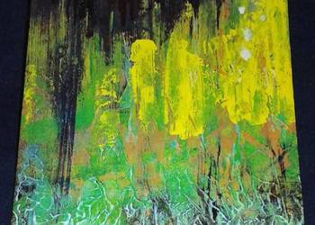 Azyl w dżungli - Aleksander Omiljanowicz