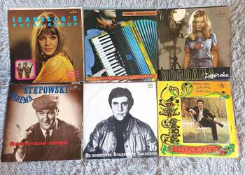 Winyl Winyle Płyta winylowa Płyty Winylowe Duże do wyboru po 8 zł/szt