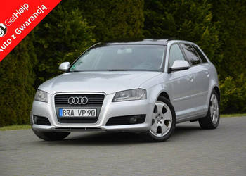 Audi A3 Lift __ DSG Panorama Skóry Duża Navi DRL Alu 17 z Niemiec 8P (2003…