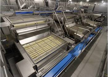 Sortownik / Urządzenie do sortowania ziemniaków ze stali nierdzewnej