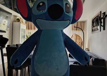 Wynajem Żywe Maskotki