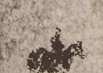 Pampa - J. Krawczyk.
