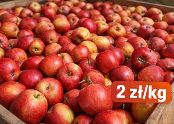 MEGA PROMOCJA! Jabłka tylko 2 zł/kg – prosto ze skrzyni!