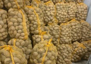 Sprzedam ziemniaki jadalne i sadzeniaki Soraya