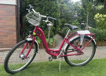 Rower PUKY Skyride 24-7