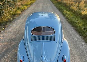 Volkswagen Garbus Oval 1954
