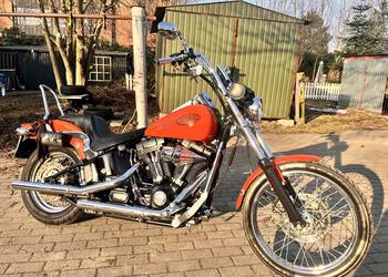 Harley-Davidson Softail Standard 2004 - jedyny taki