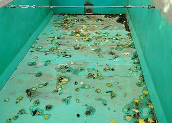 Przyczepa rolnicza skorupowa wywrotka tandem